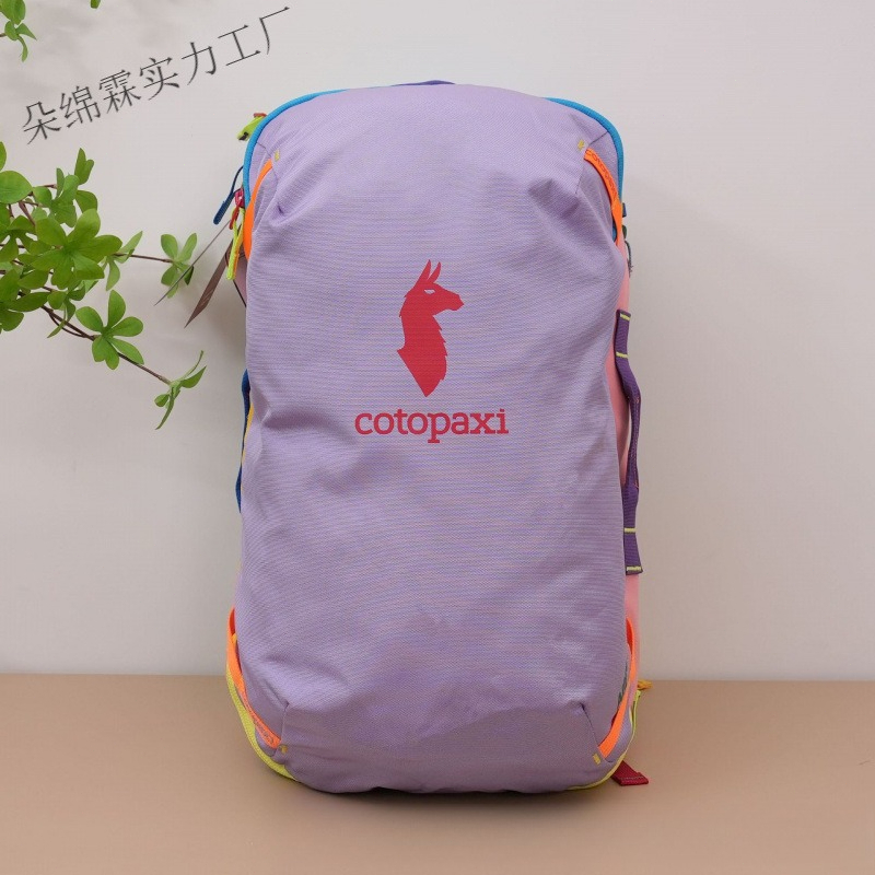 Waterproof Color Block Backpac - Women Bags 2026 review and price