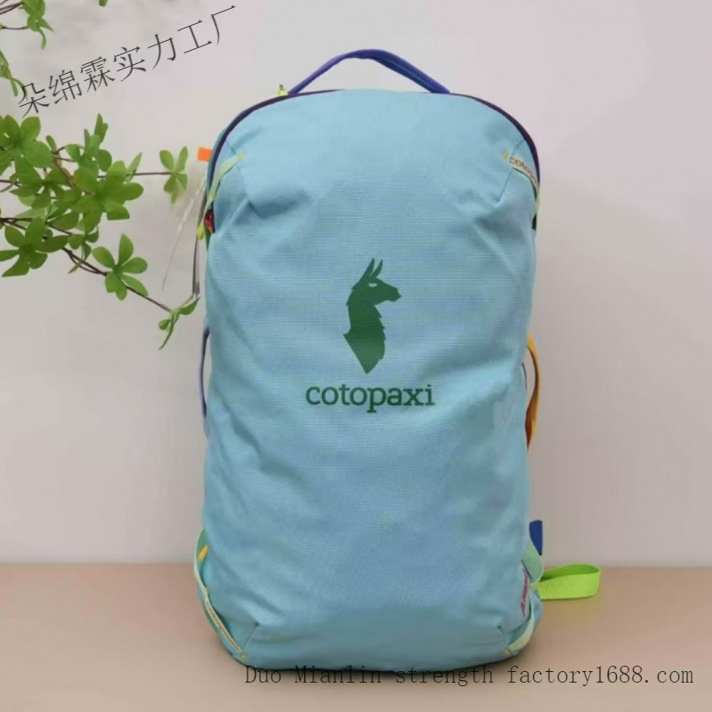Waterproof Color Block Backpac - Women Bags 2026 review and price