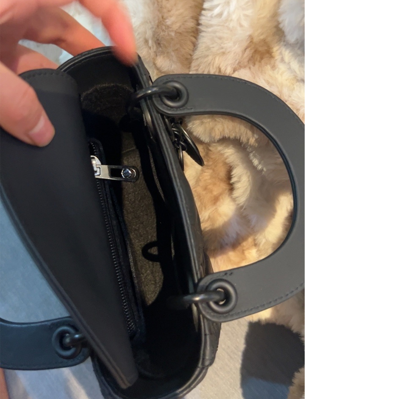 Fit For Lady Dio R Bag Organiz - Women Bags Dior review and price