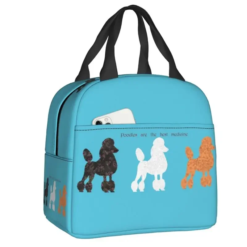 France Standard Poodle Insulat - Women'S Best Bags For Work review and price